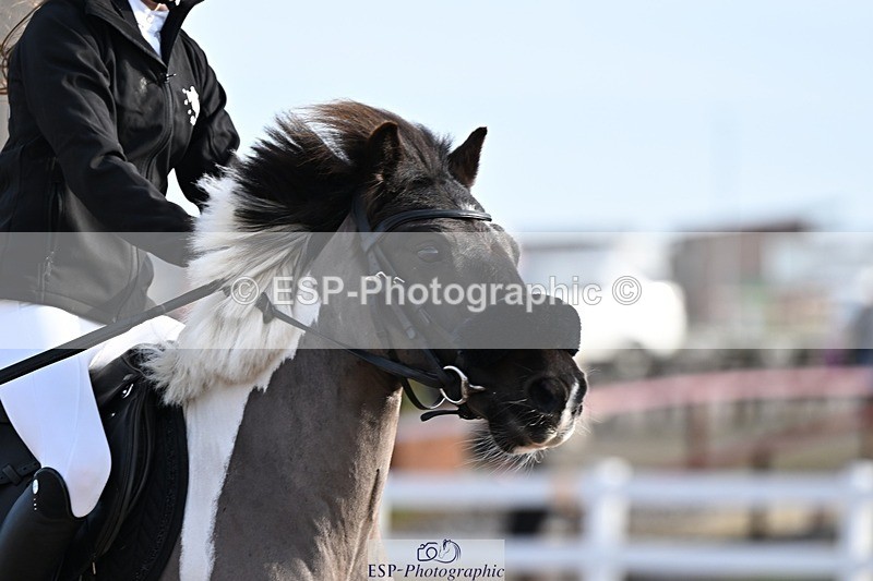 250308-090458-00833 - Cls 19-21 CR, Club and Schools 60cm