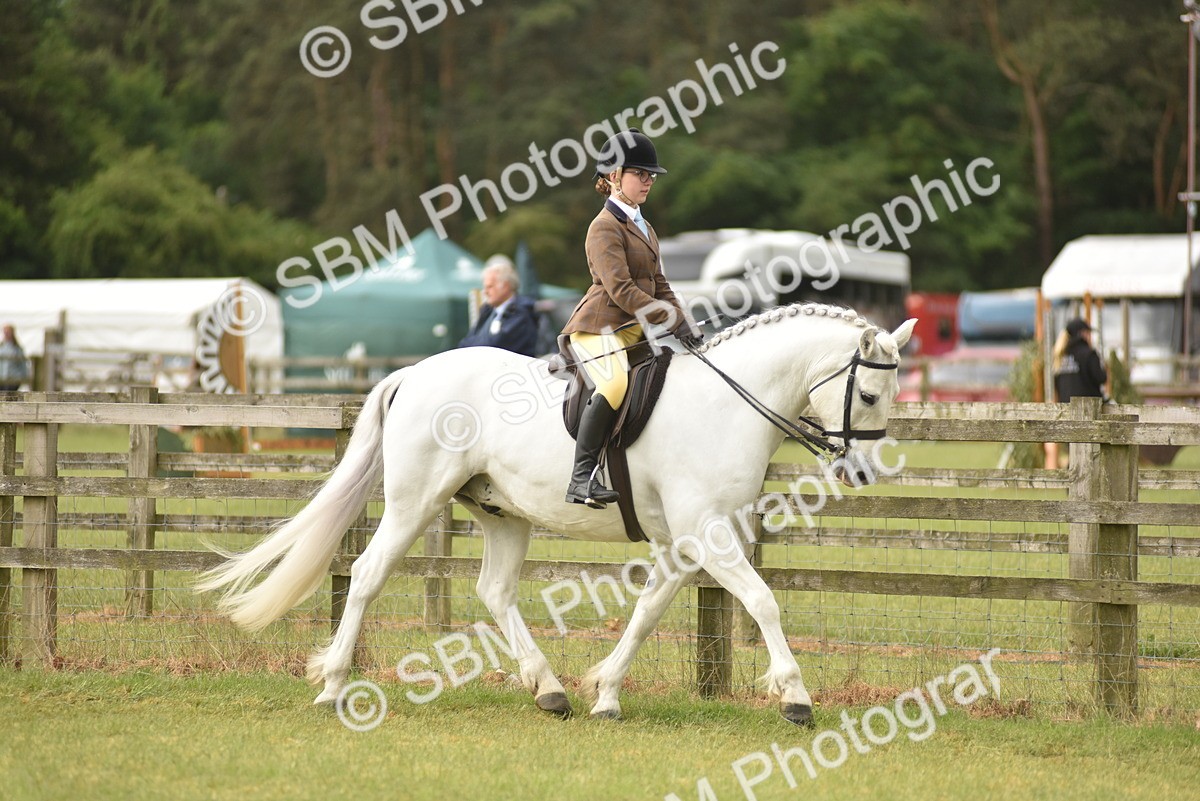 SBM_12096 - Class 110-112 - LIHS BSPS Performance Pones