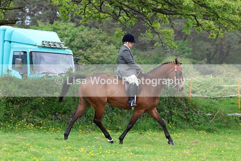 3E7A1726 - Class 9: Riding Club Horse/Pony