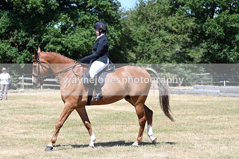 WJ7_2895 - Class 7 Riding Club Show Horse