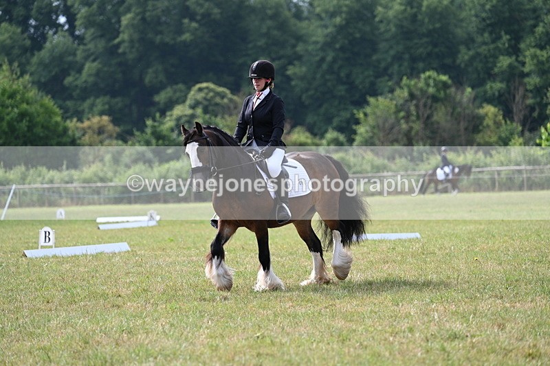 WJ7_1517 - Time 09:00 to 09:22