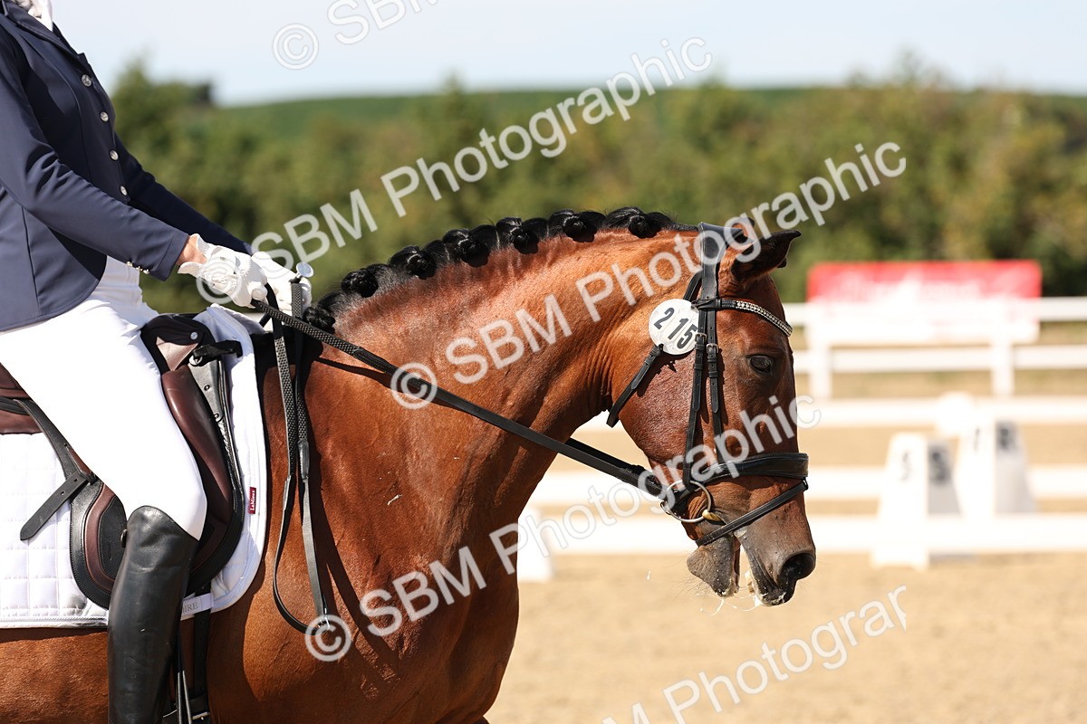 SBM_003814 - Elementary 4