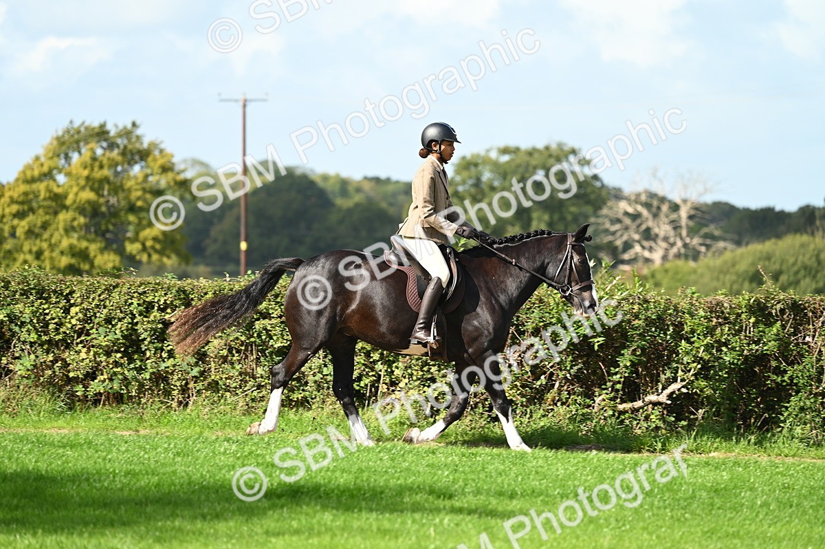 SBM_01918 - S2 - TSR Ridden Horse Showing