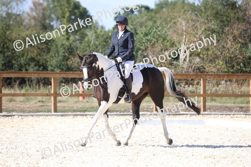 20260905-1563 - Class 5 - Novice 2