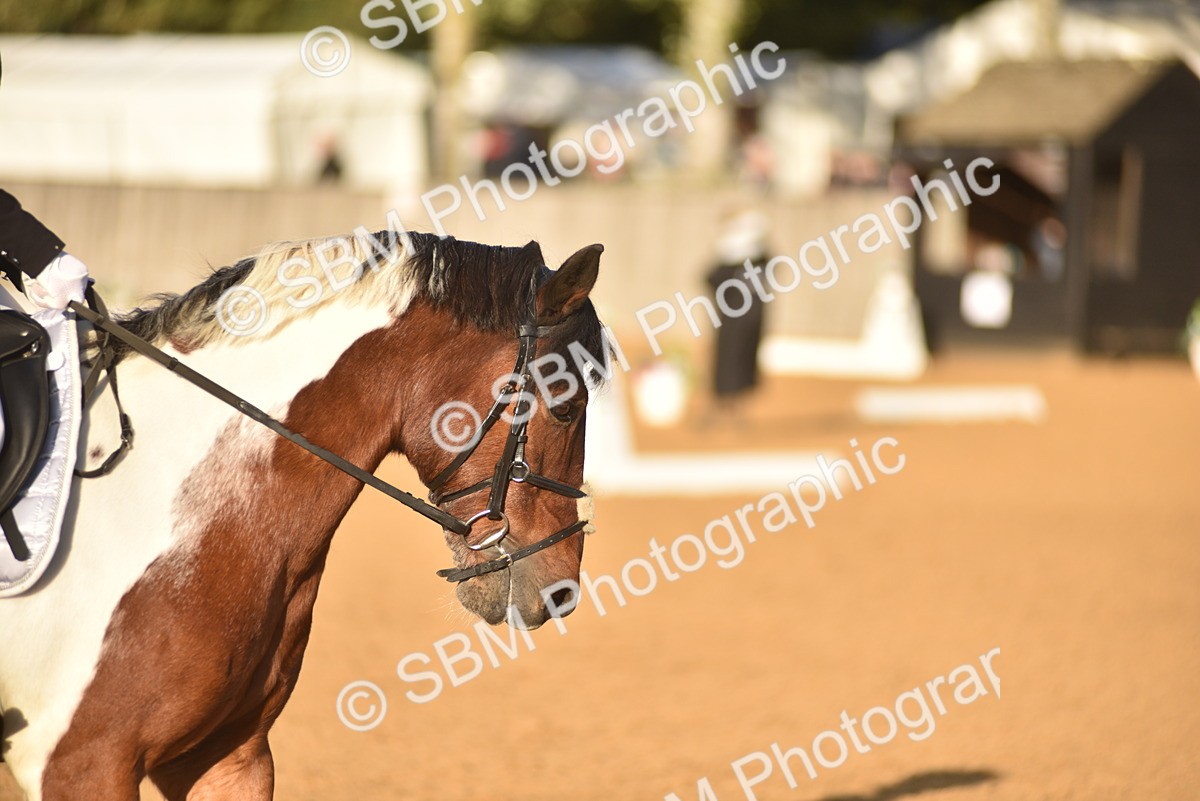 SBM_53391 - D24 - Junior Championship Prelim 3