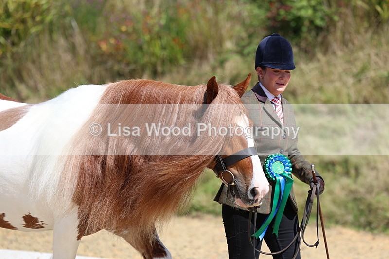 3E7A9810 - In Hand Championship