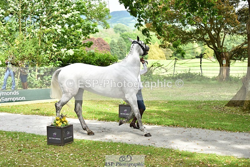 240522-150220-00054 - 368-ROCHDAN_FLEX-Emily_Philp