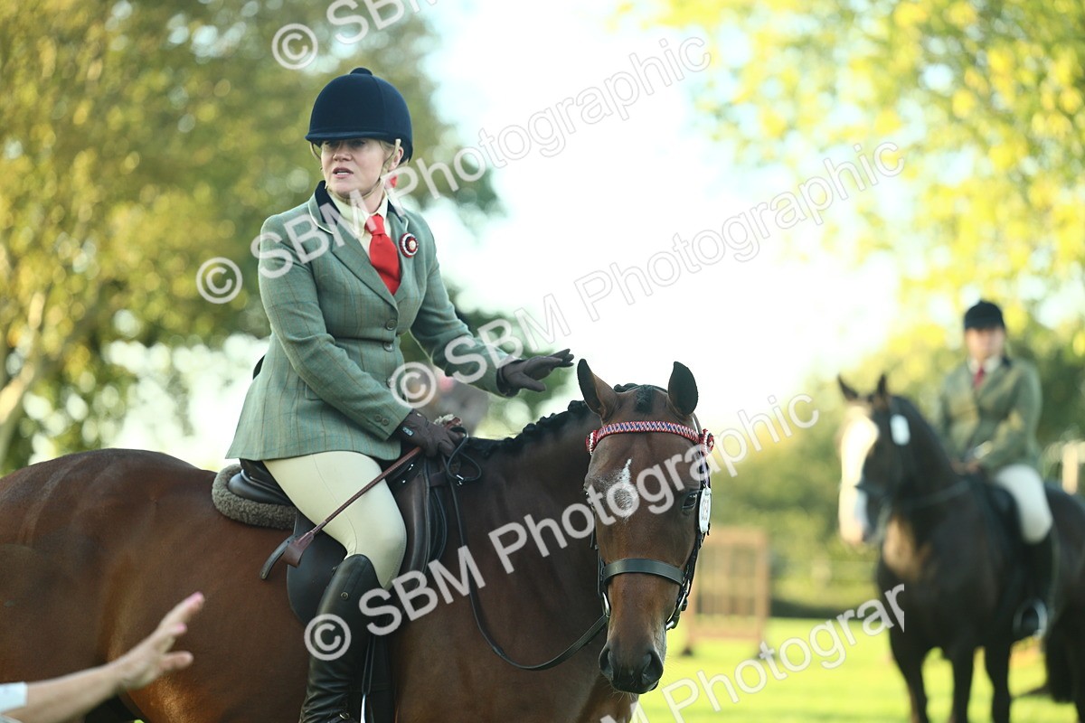 SBM_55582 - S14 - Riding Club Horse