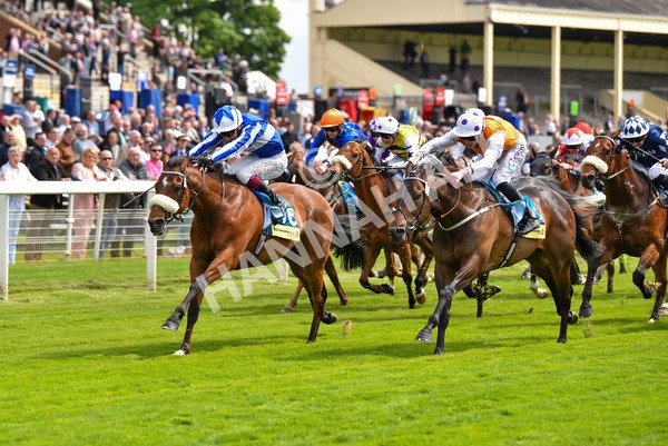 170523-Race 2-Bielsa-8617 - Race 2 2.25pm Churchill Tyres Handicap