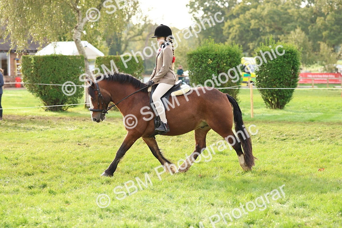 SBM_56612 - S40 - Starters Ridden Showing