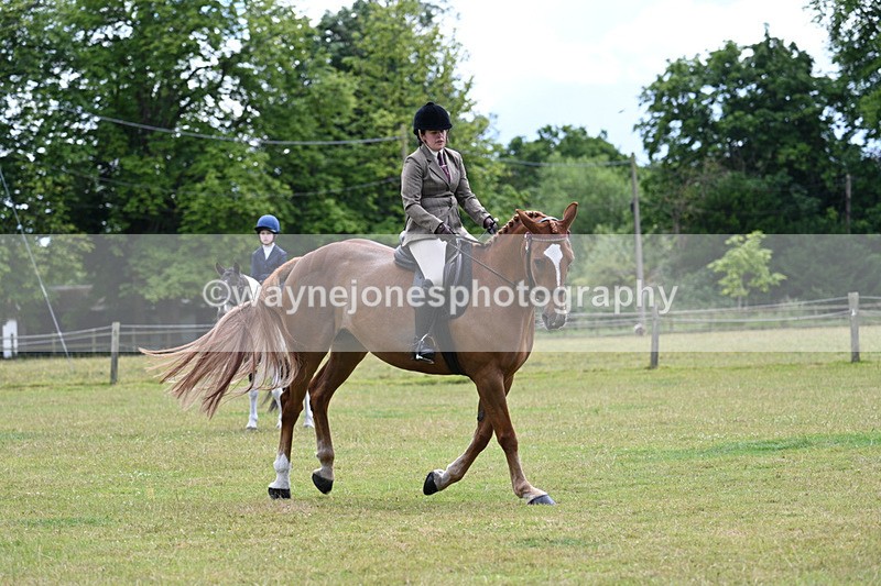 WJ7_9345 - Class 8 Ridden Veterans