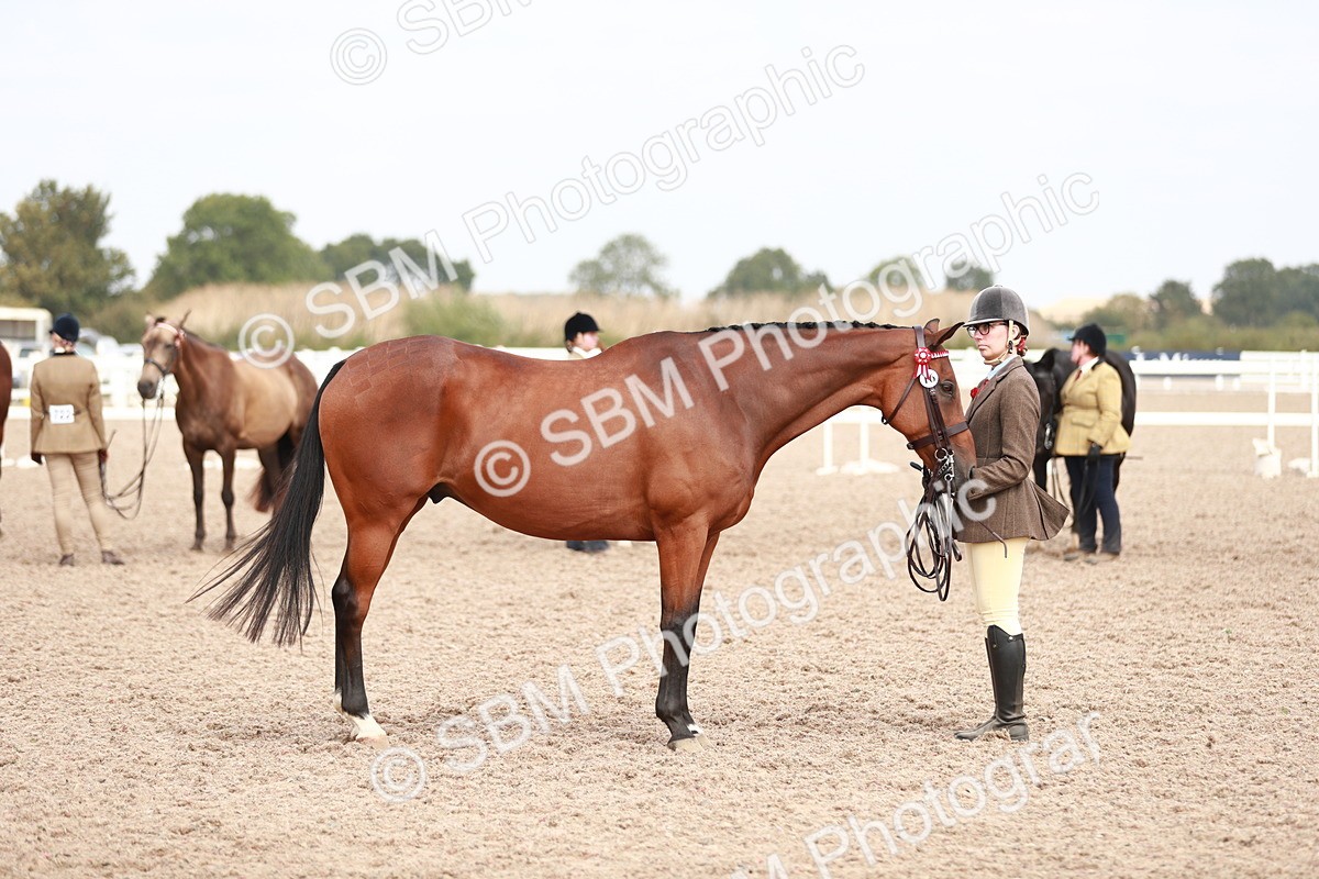 SBM_13271 - Class 208 IH Veteran Horse
