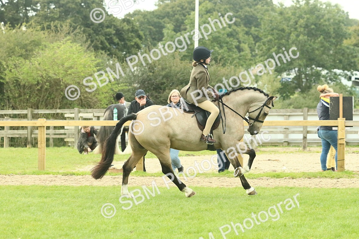 SBM_74012 - S 61 - Show Pony & Show Hunter Pony Ridden