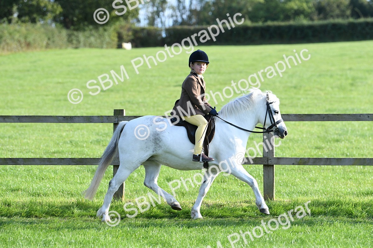 SBM_54019 - S23 - 1st Ridden Mountain & Moorland Pony