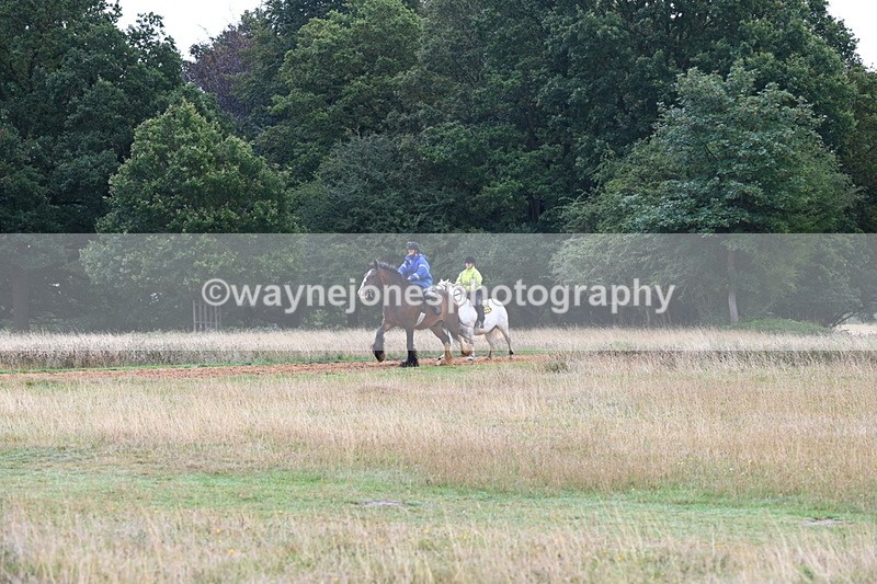 DSC_2234 - Time at Statue 12:34 to 12:56