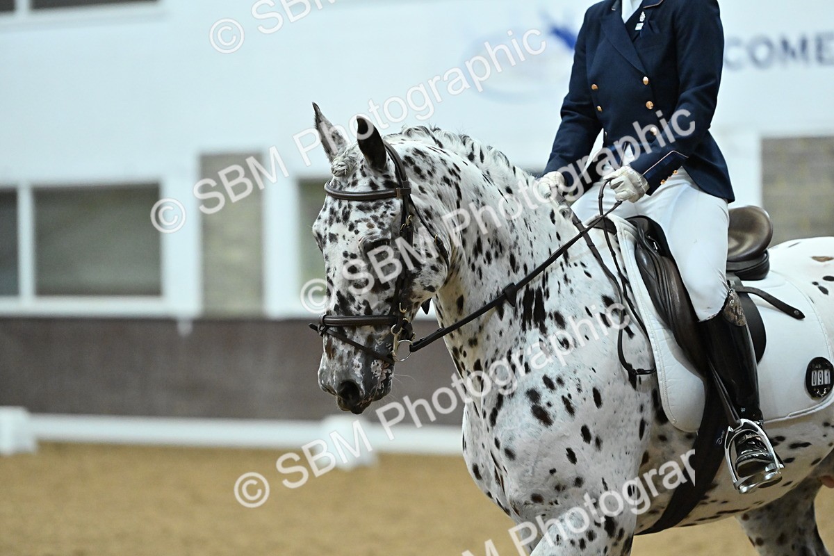 SBM_007495 - Class 81 - Novice 3