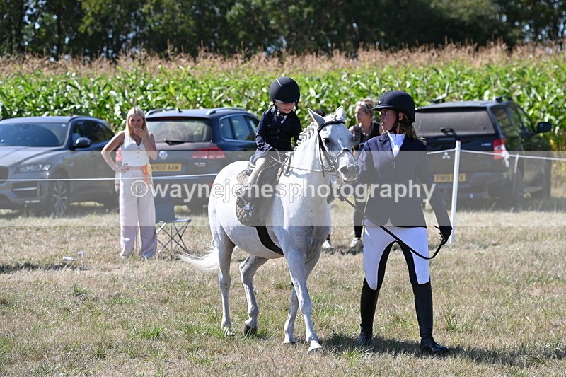 WJ6_8025 - Class 36 Lead Rein