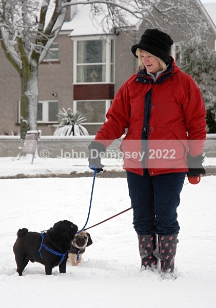 December Snow 12 - Walking the Dog
