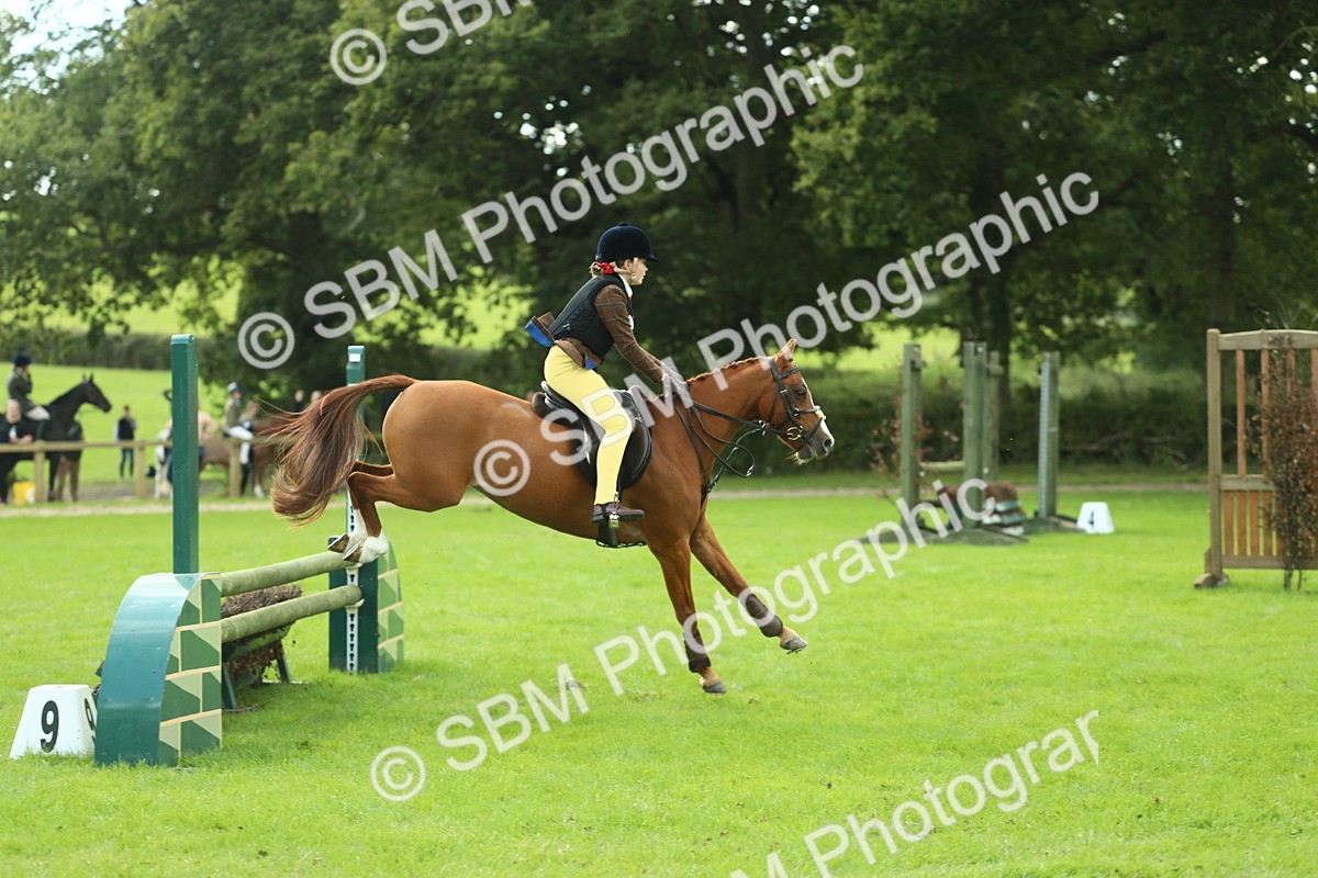 SBM_44652 - S31 - Working Hunter Pony