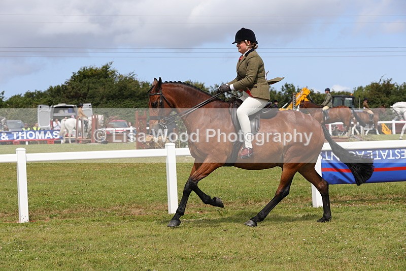 1X9A4013 - Class 32: Show Hunter Pony 153cm and under