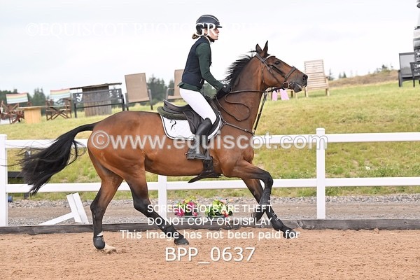 BPP_0637 - CLASS 28 SUN Nupafeeds Senior Dicovery/1m open