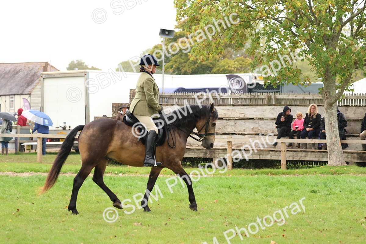 SBM_69595 - S62 - Mountain & Moorland Ridden Large Breeds