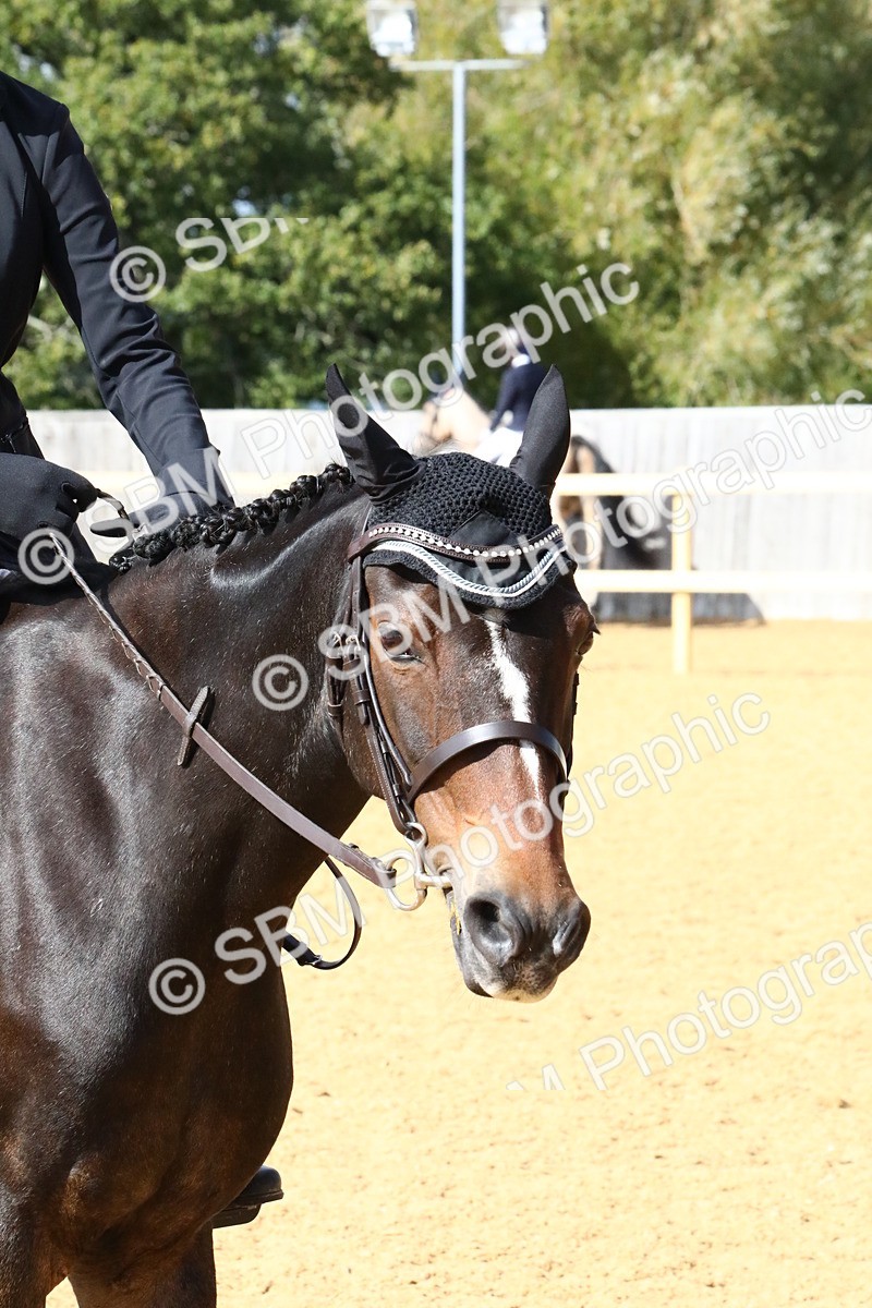 SBM_23544 - D5 - Small Tour Championshop Intro 2