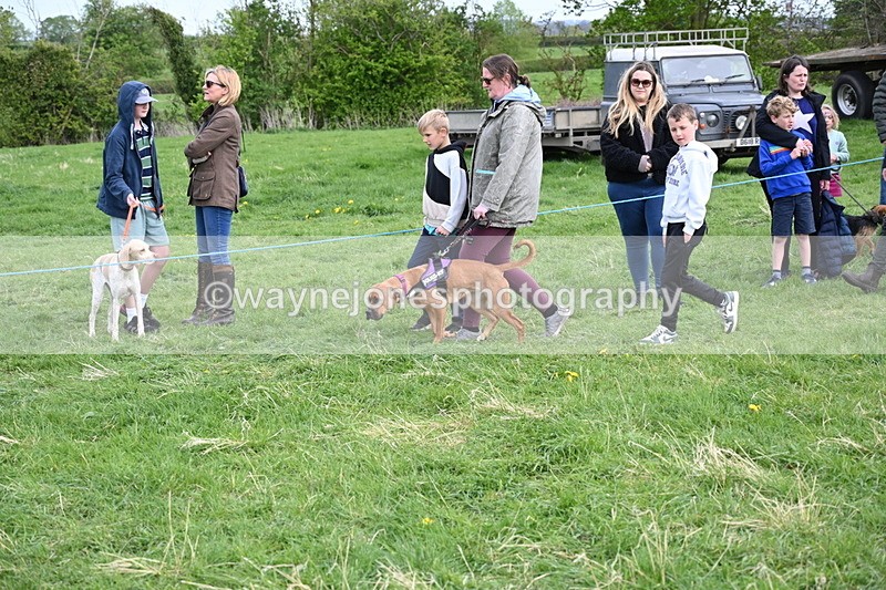 WJ6_8495 - Class 6 Best Rescue