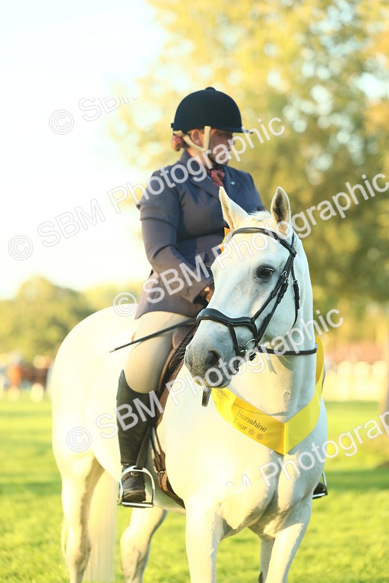 SBM_56520 - S14 - Riding Club Horse