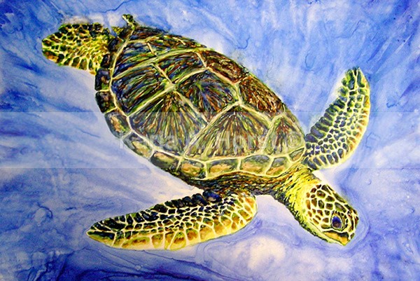 Tortuga - Original Art