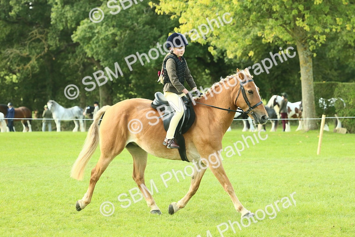 SBM_62422 - S62 - Foreign Breeds Ridden