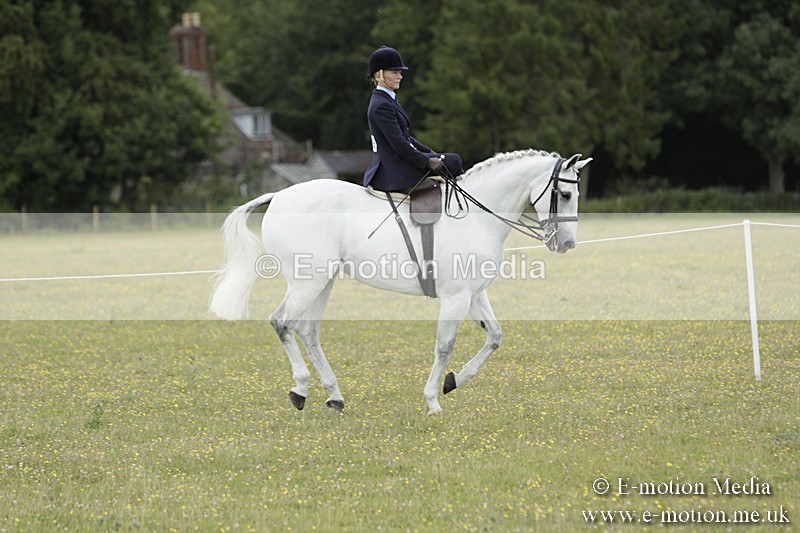 BVR160717-2365 - Side Saddle Classes 16/07/17