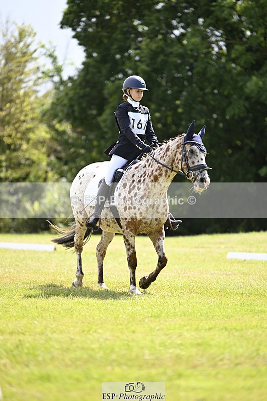 240824X-125620-26622 - D80 Section E and F 12.00 to 13.20