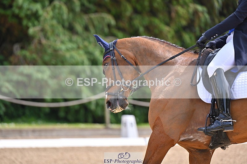 250523A-133120-07006 - B-353-Alexander.Bragg-JAEGER.MASTER