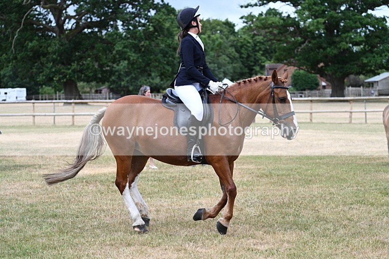 WJ7_0562 - Class 2 Best rider