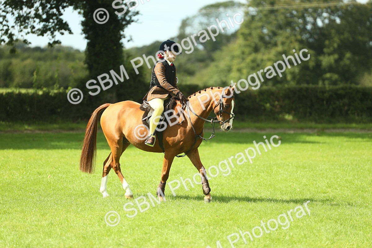 SBM_44625 - S31 - Working Hunter Pony