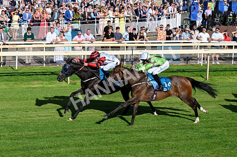 240726-Race 2-Vaguely Royal-0239 - Race 2 18.05pm Elevator Company Handicap