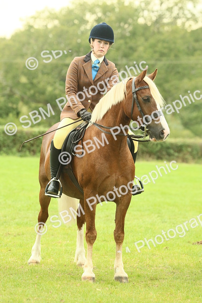 SBM_72216 - S60 - Mountain & Moorland Ridden Large Breeds