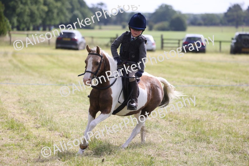 20260614-0704 - Class 20 - Beginners Working Hunter Pony