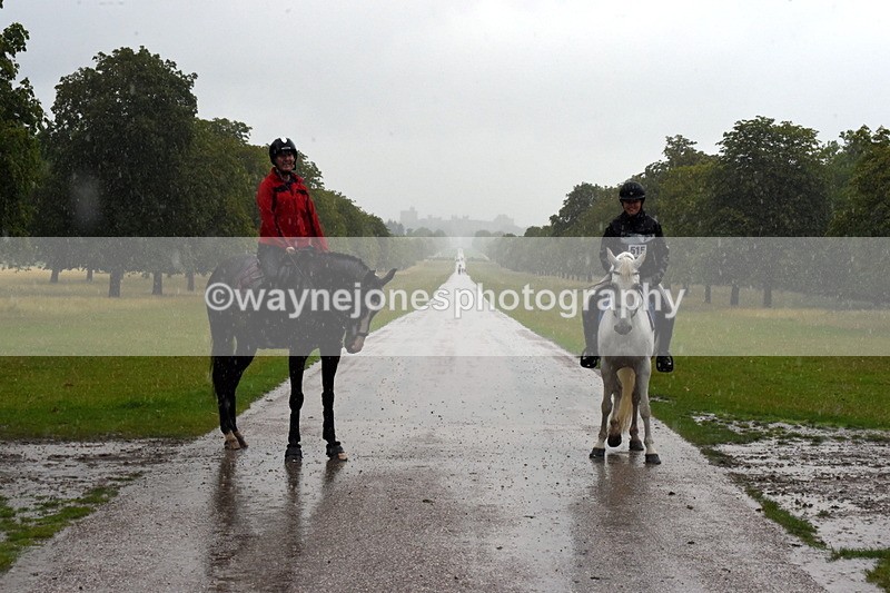 TT3_8842 - Time at Crossing 12:55 to 15:02