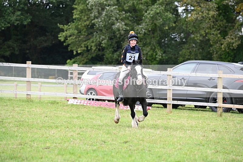 WJ6_0632 - 40cm Time 10:29 to 10:52