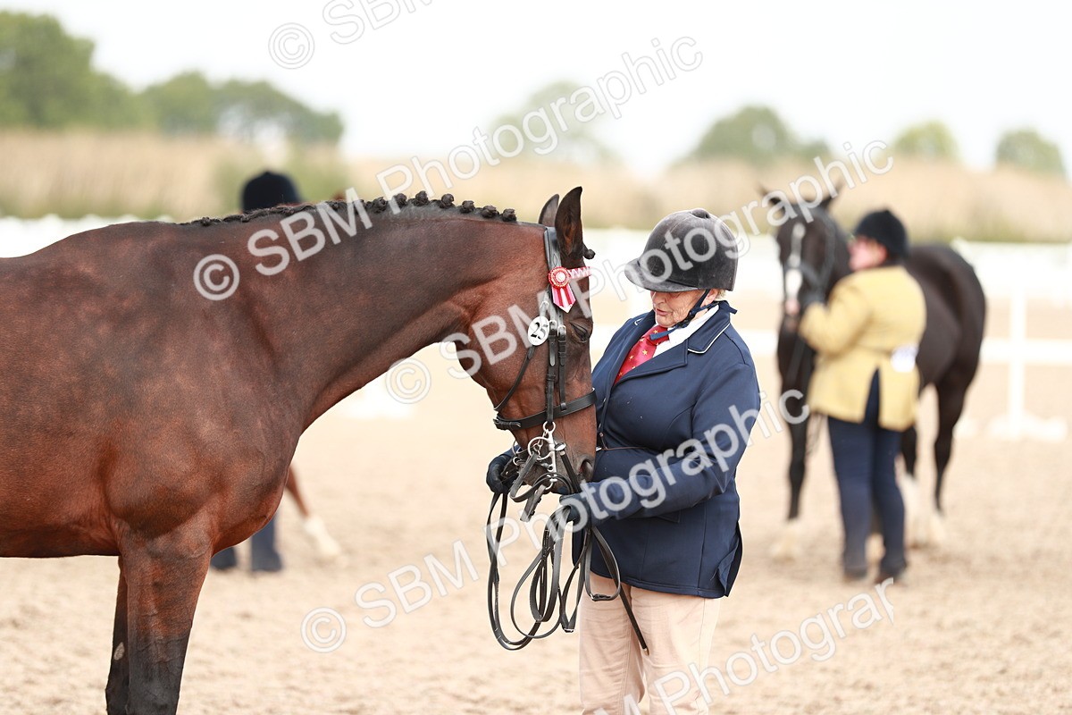 SBM_13263 - Class 208 IH Veteran Horse