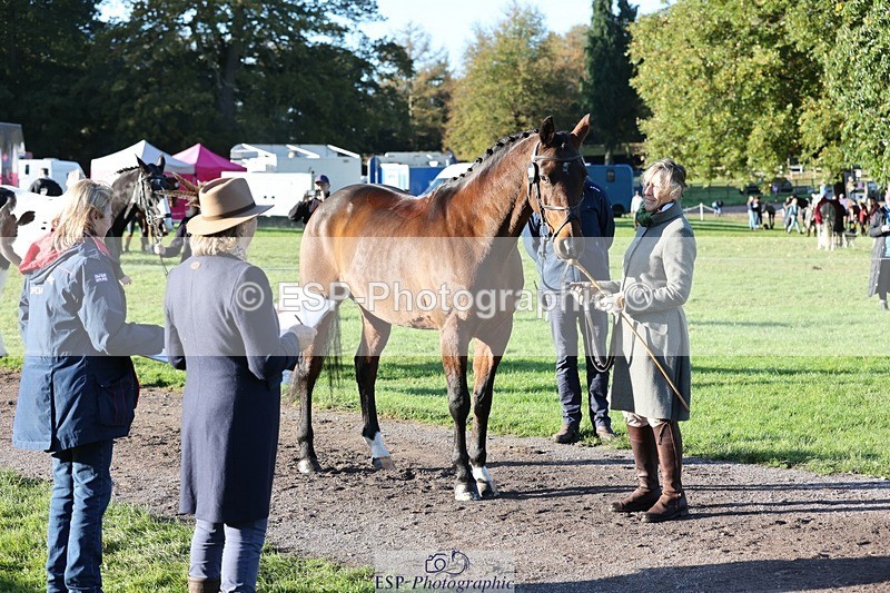 241027-090703-15046 - 453-Caroline.Davies-HAPPY.H