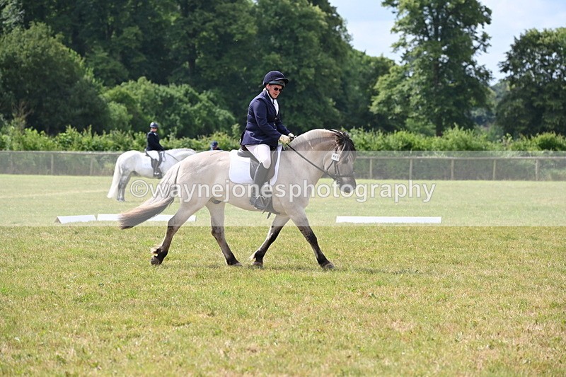 WJ6_6058 - Time 09:46 to 10:26