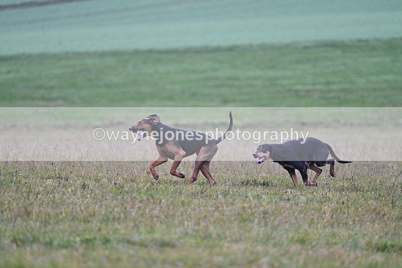 WJ7_0428 - Camera 1