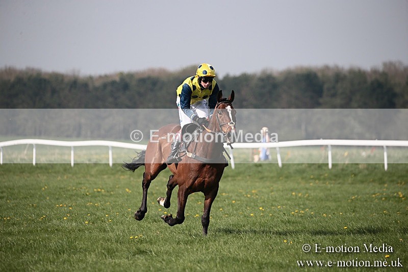 PtP 210418 444 - South & West Wilts Point-to-Point Larkhill 21/04/18