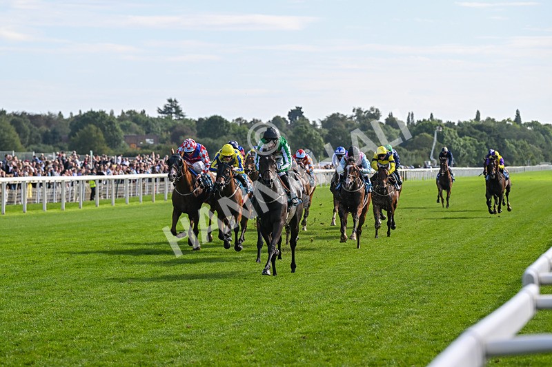 060926-Race 4-Stoneacre Donny-8015 - Race 4 3.15pm Saltmoore Collection Handicap
