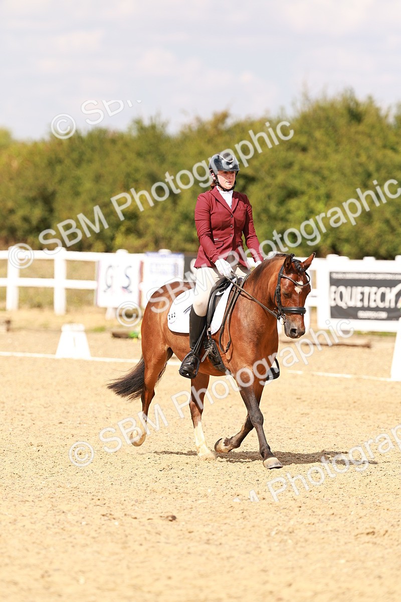 SBM_018614 - Class 9 - N5 Bronze 11.57.13.07