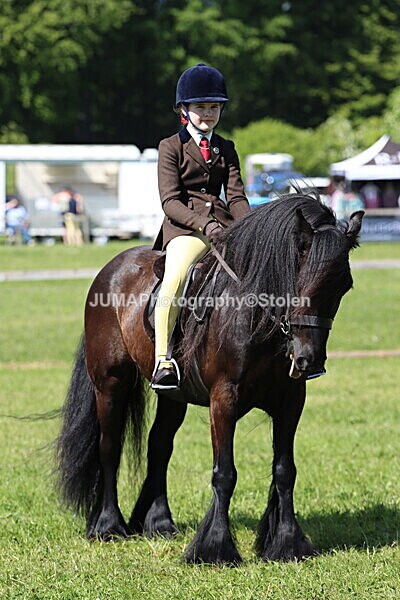 IMG_4423 - Working Hunter
