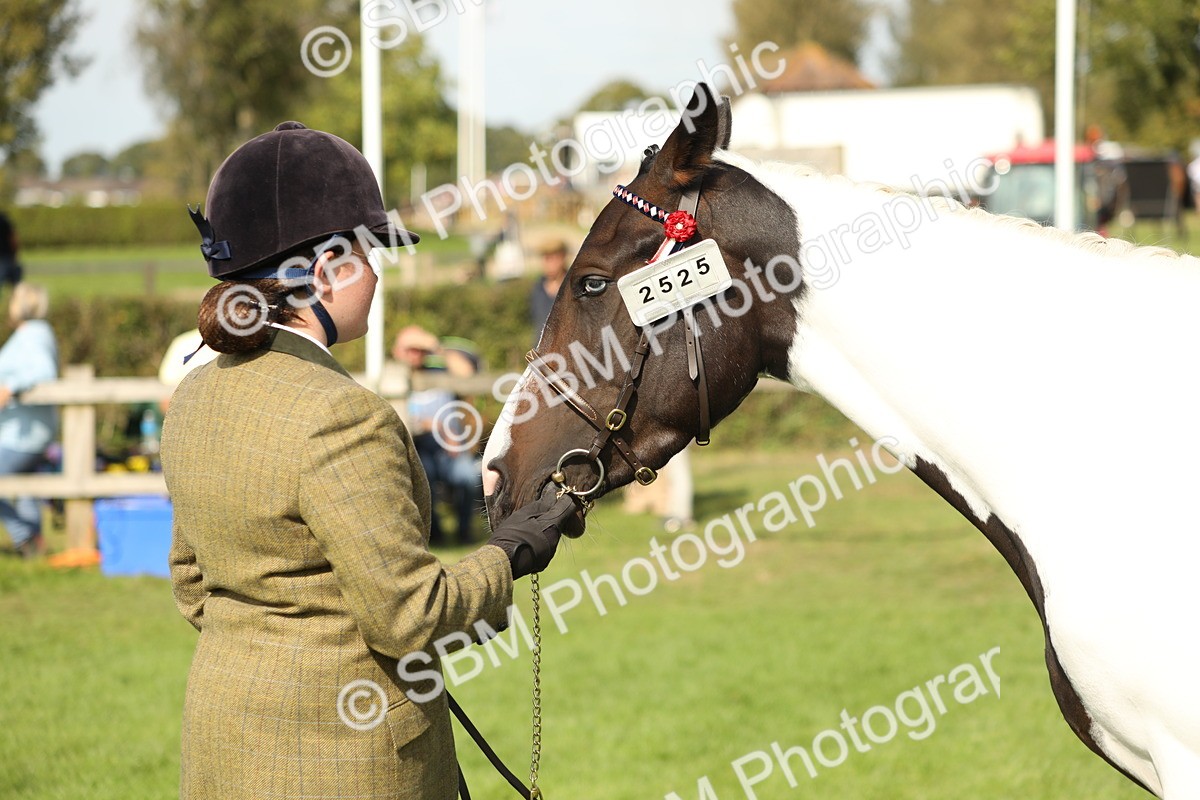SBM_68628 - S40 - Junior Handler 9-12 Years